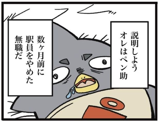 1-2 画像提供：ザバックさん