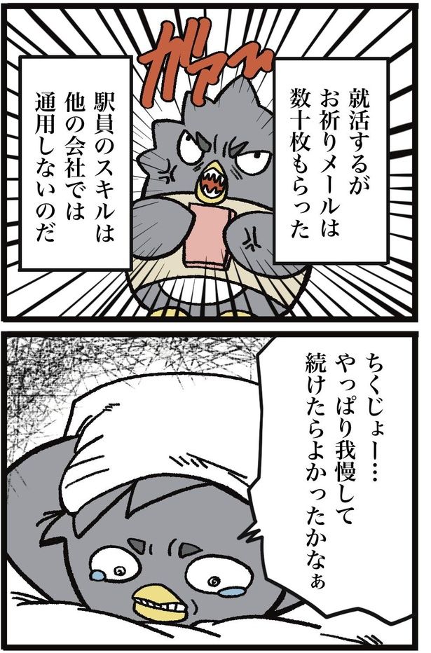 1-3 画像提供：ザバックさん