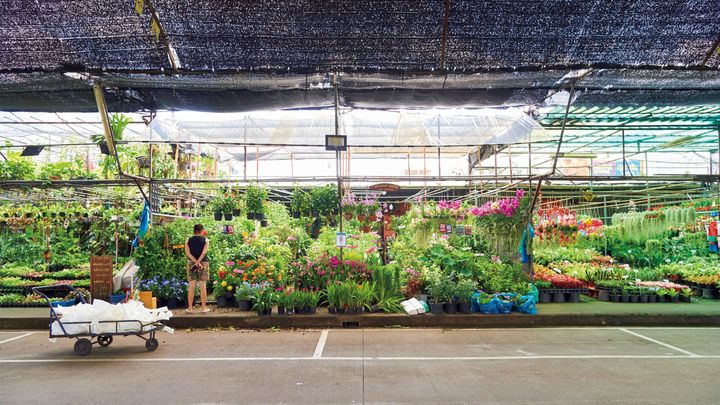 バンコク〈ガーデン・センター・バヤイ〉