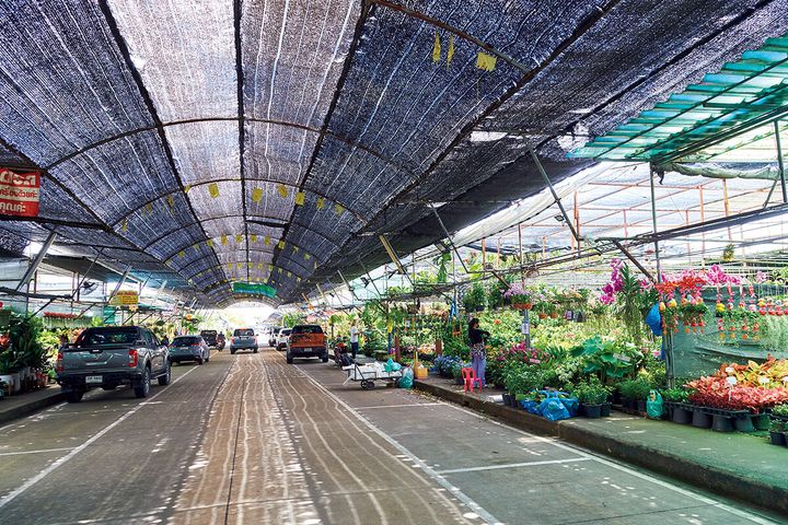 バンコク〈ガーデン・センター・バヤイ〉