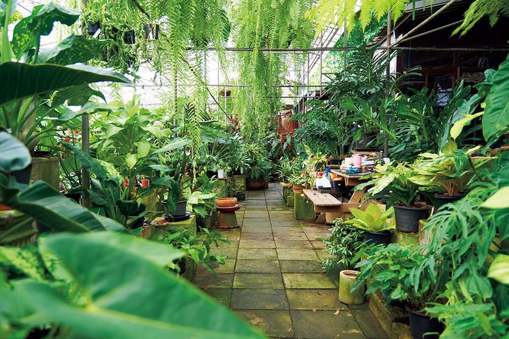 バンコク〈バンカンプ・トロピカル・ギャラリー＆カフェ〉内観