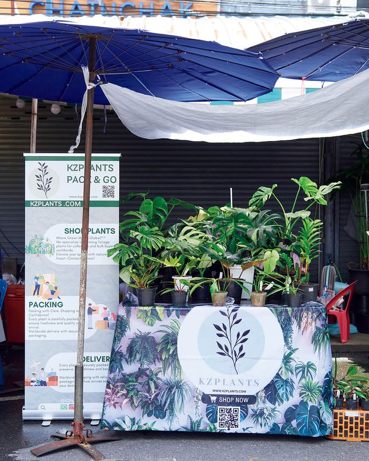 バンコク〈ケージー・プランツ〉in チャトゥチャック市場