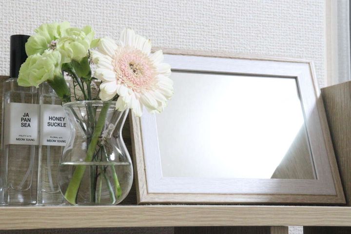 ダイソーのお洒落なフレームミラー（ダブル枠）