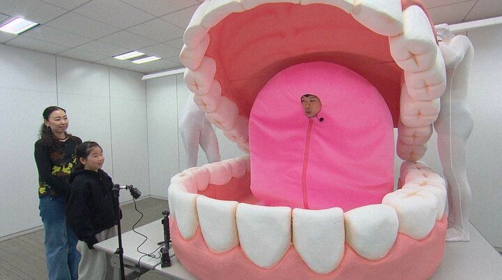 探偵！ナイトスクープ