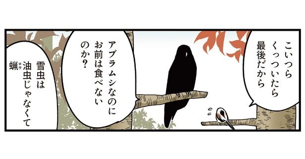 雪虫を食べない理由 （C）青春／KADOKAWA