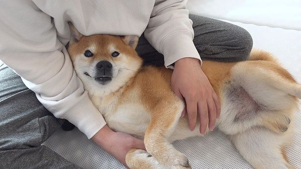 まったり甘えん坊タイム