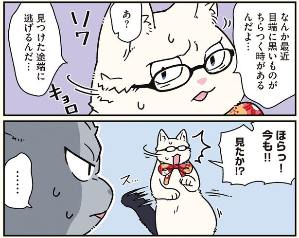 見たか!? （C）清水めりぃ／KADOKAWA