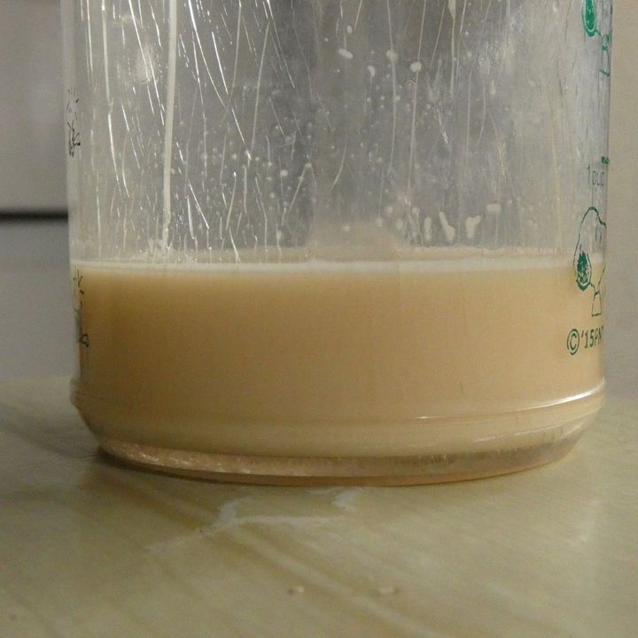 一次発酵までホームベーカリーにお任せ！「キャラメルパン」