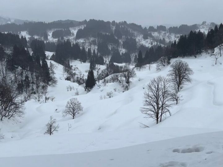 蒲生の棚田（十日町）「かんじきウォーク」体験