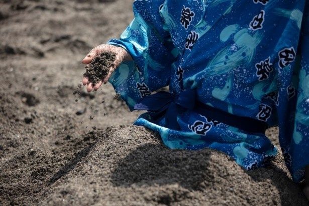 【写真】通常の砂浜の砂よりも黒く、粒子が大きいワケとは？ 画像提供：砂むし会館砂楽