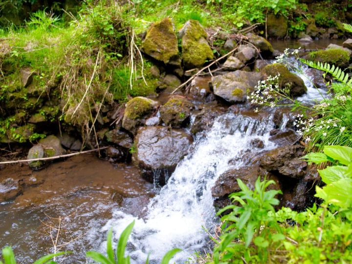 All About ニュース編集部が全国250人を対象に実施した「滝に関するアンケート」の調査結果から、冬に行きたい「京都府の滝」ランキングを発表！ 2位「味土野ガラシャ大滝」を抑えた1位は？