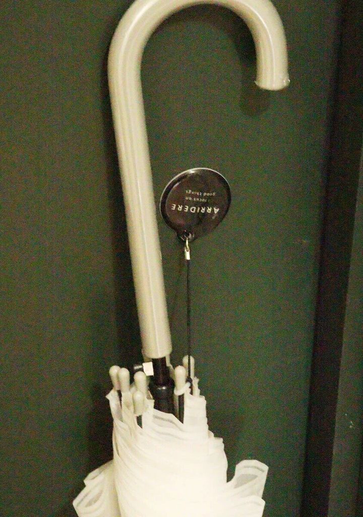 ダイソー かさ固定用マグネット（丸型） ドア 使用例