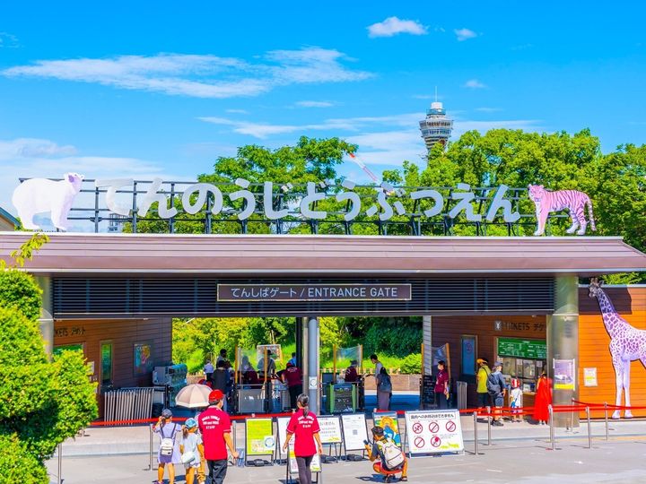 All About ニュース編集部は、全国10～60代の男女250人を対象に「観光スポット」に関する独自のアンケート調査を実施。好き・行ってみたい「天王寺の観光スポット」で1位に選ばれたのは？