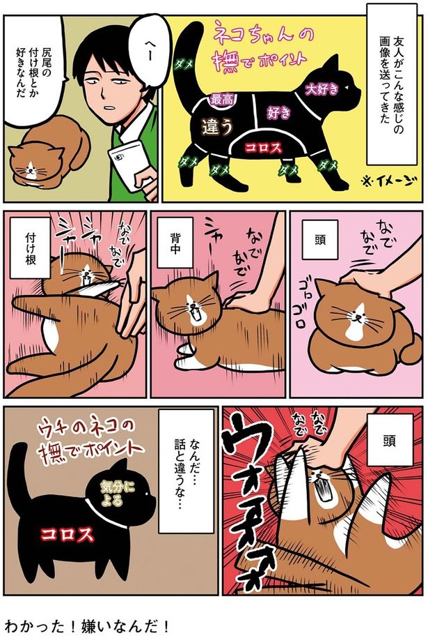 うちの猫の撫でポイント （C）鴻池剛／KADOKAWA