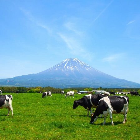 【東京・神奈川・千葉・埼玉】「あさぎり牛乳」の3月の関東エリア催事情報をCHECK！“牛乳屋さんスイーツ”を多数販売