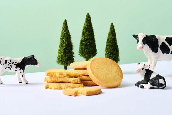 【東京・神奈川・千葉・埼玉】「あさぎり牛乳」の3月の関東エリア催事情報をCHECK！“牛乳屋さんスイーツ”を多数販売