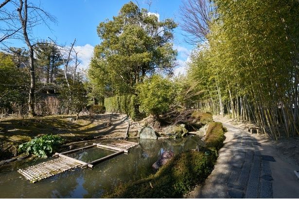竹、笹、ツバキに加え、梅、桜、アジサイ、紅葉と、四季折々の景観が望める松花堂庭園・美術館