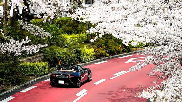 【東京都港区】マツダが「MAZDA TRANS AOYAMA」で團上祐志氏による個展を開催！同時開催企画も