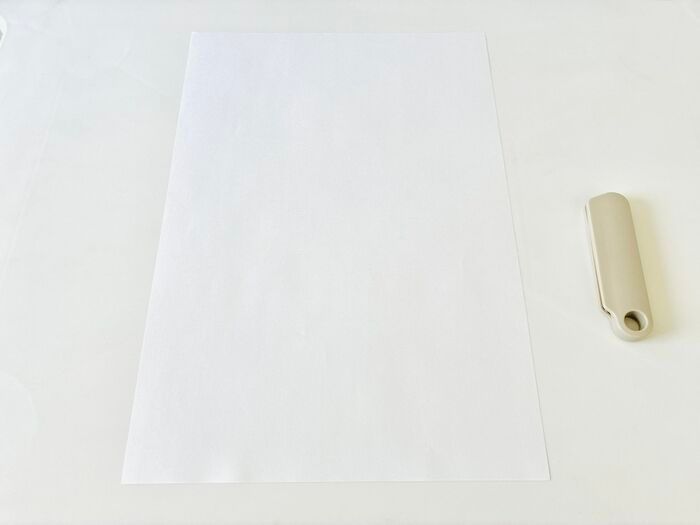 【セリア】やっと手に入った～♡SNSでバズった便利アイテム→ウワサどおり「サッ」と「シュッ」と快適でした♪