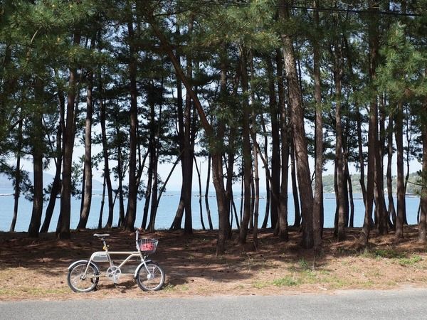 【福岡県糸島市】新シーズン開幕！「ノルバイ糸島・ガイド付きサイクリングツアー」で糸島を楽しむ