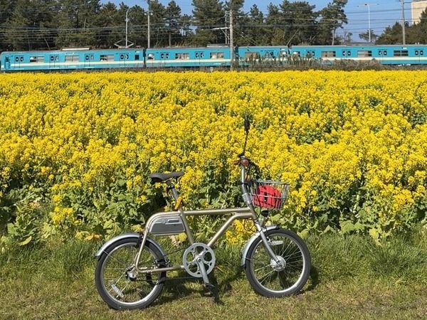【福岡県糸島市】新シーズン開幕！「ノルバイ糸島・ガイド付きサイクリングツアー」で糸島を楽しむ