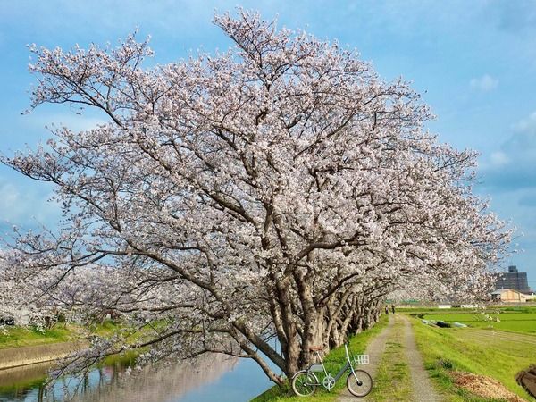 【福岡県糸島市】新シーズン開幕！「ノルバイ糸島・ガイド付きサイクリングツアー」で糸島を楽しむ