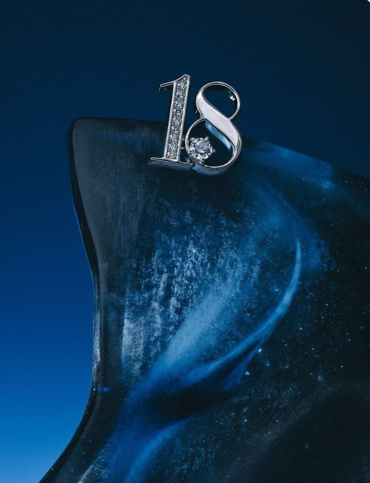 「#18ラペルピン」PT950 ¥1,168,200 K18YG ¥1,203,400