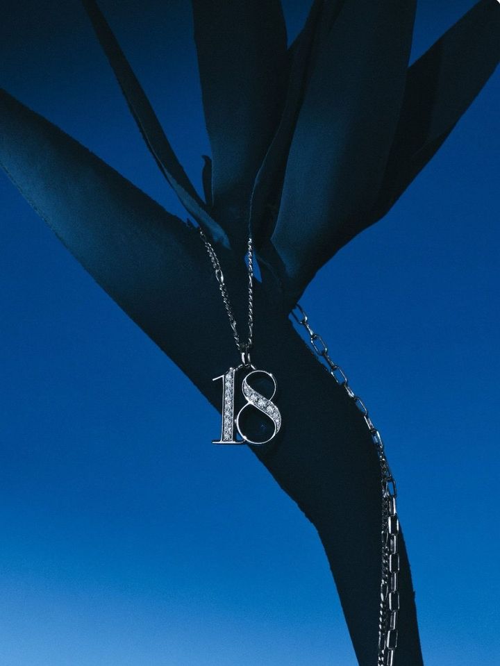 「#18ネックレス（ペンダントトップ＆チェーン）」PT950 50cm ¥1,422,300 PT950 55cm ¥1,482,800 K18YG 50cm ¥1,724,800 K18YG 55cm ¥1,795,200