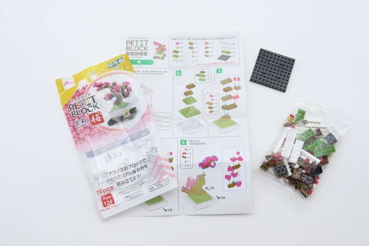 ダイソーのプチブロック（梅）の内容