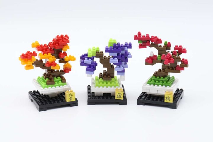 ダイソーの盆栽シリーズのプチブロック