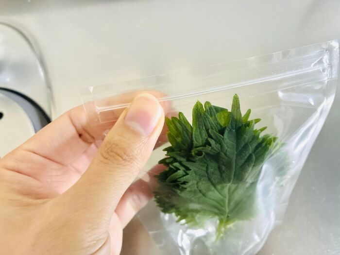 【セリア】大人気アイテムが袋タイプに進化！「自立してすっきり収納」「もうシナシナさせない」