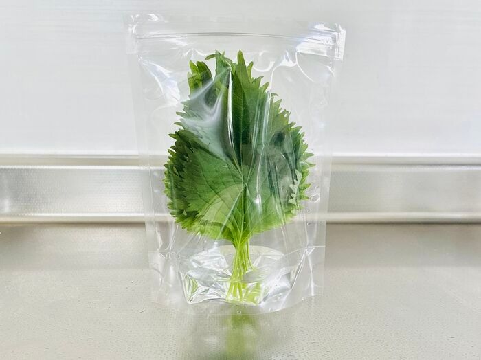 【セリア】大人気アイテムが袋タイプに進化！「自立してすっきり収納」「もうシナシナさせない」