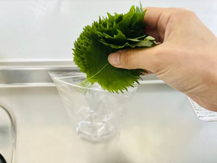 【セリア】大人気アイテムが袋タイプに進化！「自立してすっきり収納」「もうシナシナさせない」