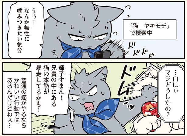 「猫 ヤキモチ」で検索中 （C）清水めりぃ／KADOKAWA