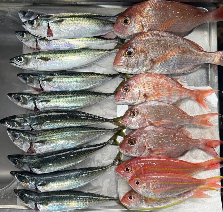 STANFORD所属のモデル・小屋敷りおの好きなもの②魚釣り