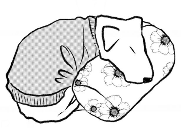 気持ちよさそうに寝ている15歳の愛犬 画像提供：あみだむくさん