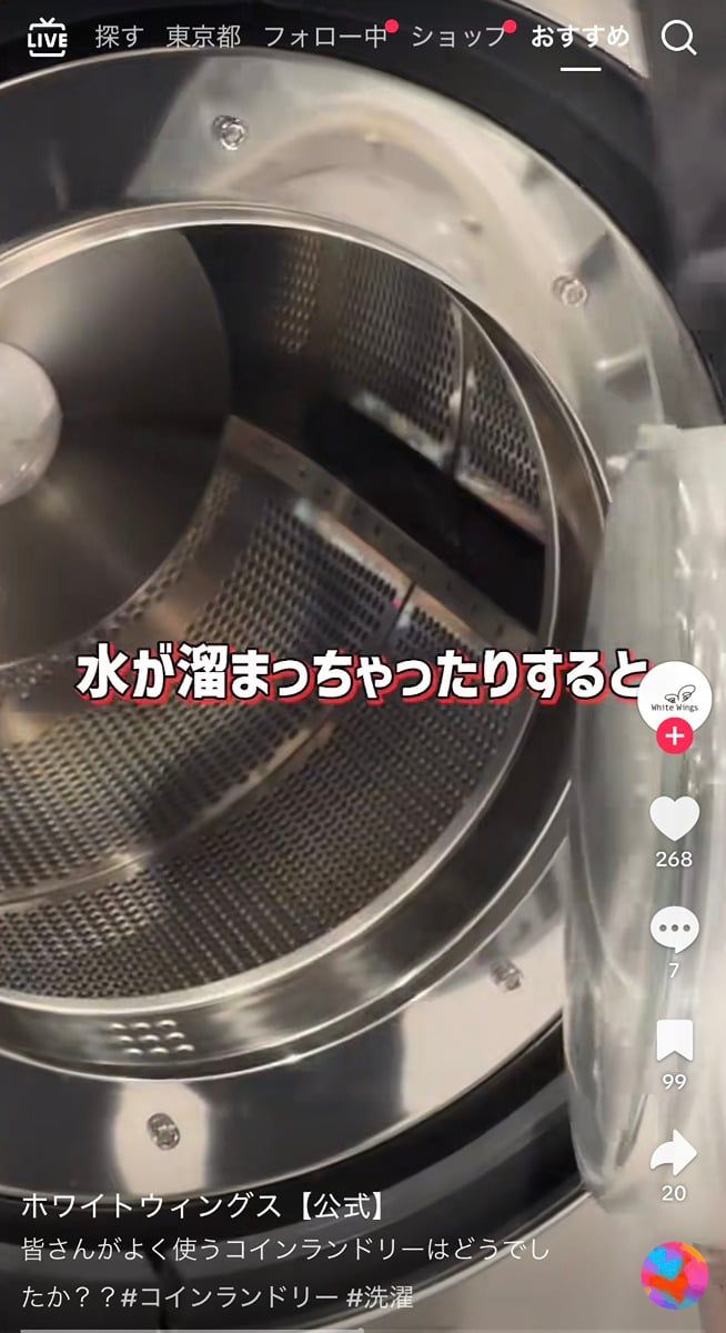 ホワイトウィングスの公式TikTokアカウントより