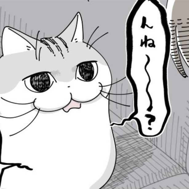 飼い主のくしゃみに文句を言う猫!? 画像提供：キュルZ@kyuryuZ