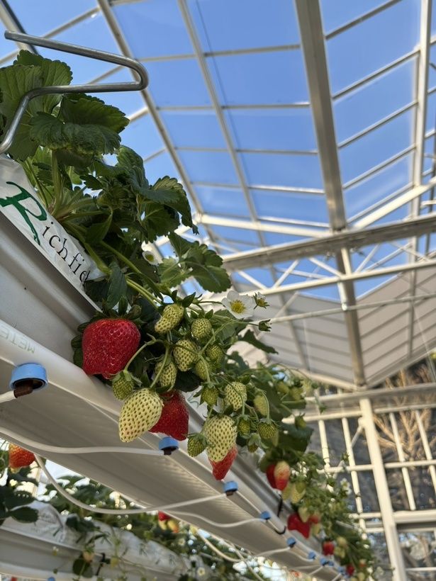 2024年にリニューアルされたリッチフィールドアグリタウン