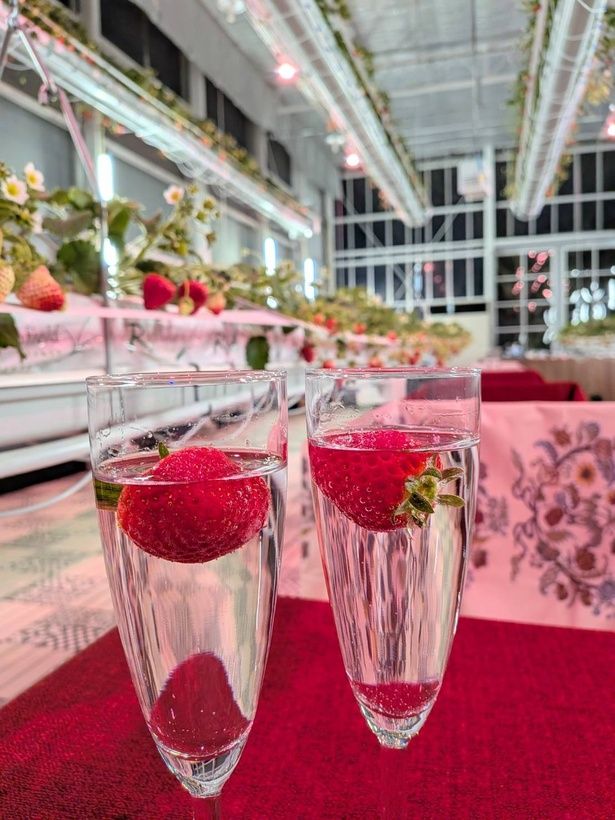  気分も上がるいちごシャンパン