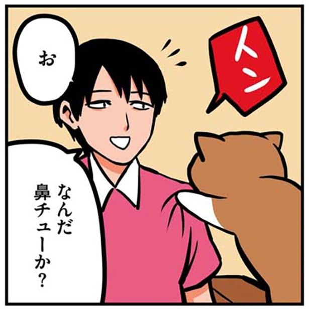 なんだ鼻チューか？ （C）鴻池剛／KADOKAWA