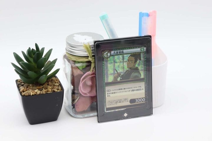 ダイソーのマグネットカードローダー（黒）使用例