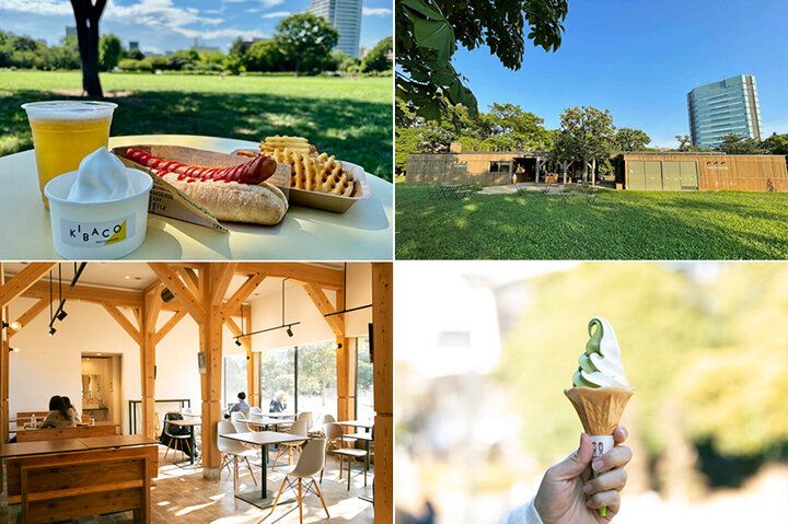 桜の季節に訪れたい♪木場公園内にある木のぬくもりを感じるカフェ「Park Community KIBACO」