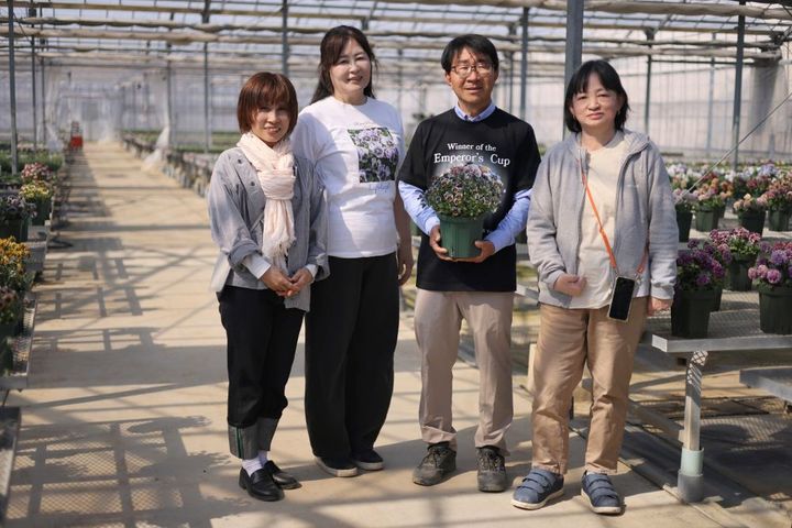 サトウ園芸のセレクター