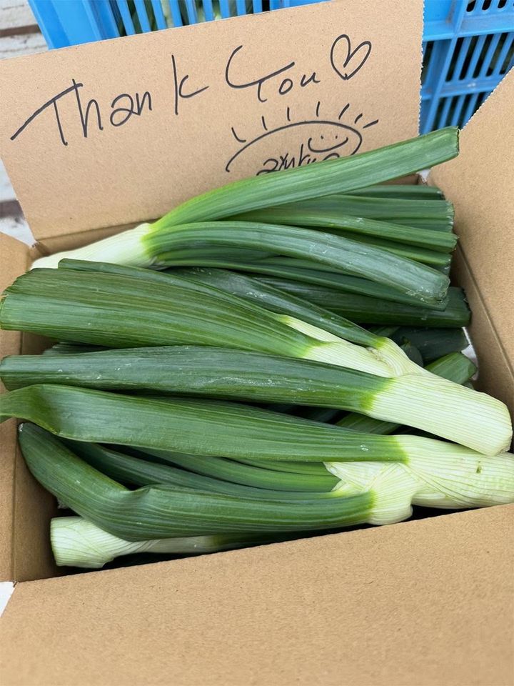 「ハピニコファーム」が販売している新タマネギの葉