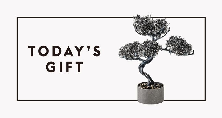 〈SWD ART LAB〉の盆栽キット