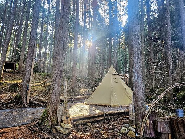 【栃木県大田原市】森林レンタルサービスフォレンタの新エリアがオープン。自分のスタイルで森を楽しむ