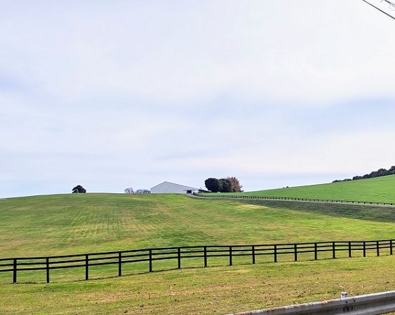 【栃木県大田原市】森林レンタルサービスフォレンタの新エリアがオープン。自分のスタイルで森を楽しむ