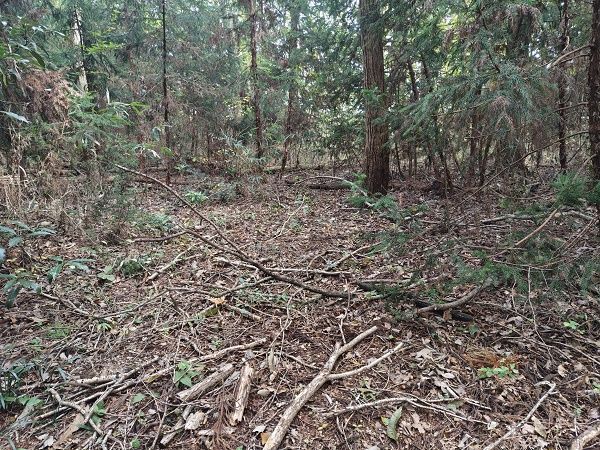 【栃木県大田原市】森林レンタルサービスフォレンタの新エリアがオープン。自分のスタイルで森を楽しむ