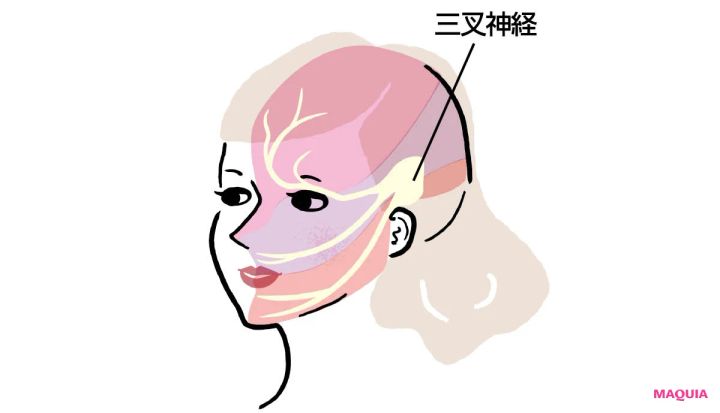 神経のエイジングケア 美肌の司令塔、三叉神経